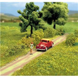 Country Lane