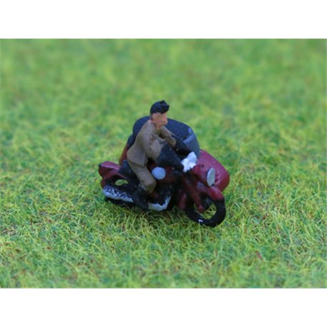 Painted Motorcycle & sidecar + rider