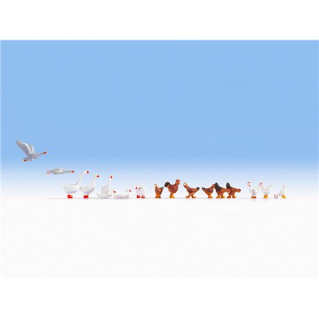 Chickens (9) & Geese (8)