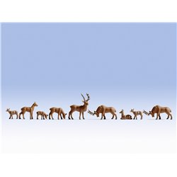 Deers