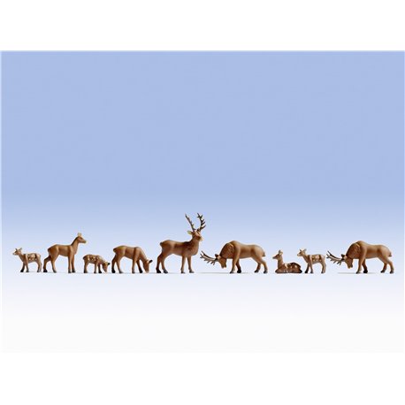 Deers