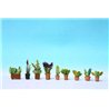 Laser Cut Minis: Plants in Pots
