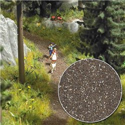Forest Track & Field Path Scatter