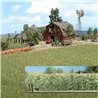 Cornfield