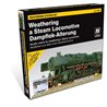 Train Color - Steam Engine Weathering Set (9 colours,2 brushes &
