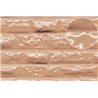 Plastic sheet dressedstone 