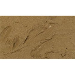 Stone Textures - Brown Earth 200ml