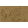 Stone Textures - Brown Earth 200ml