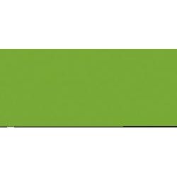 Model Color - Lime Green