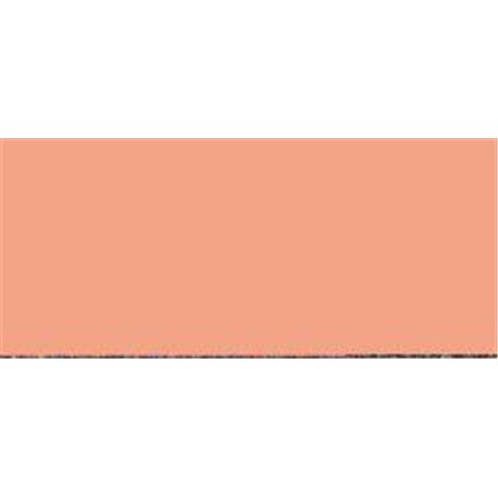 Model Color - Salmon Rose 