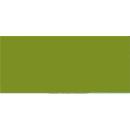 Model Color - Golden Olive 