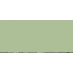 Model Color - Pastel Green