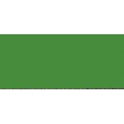 Model Color - Intermediate Green 