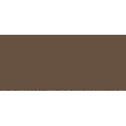 Model Color - Burnt Umber 