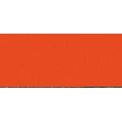 Model Color - Clear Orange
