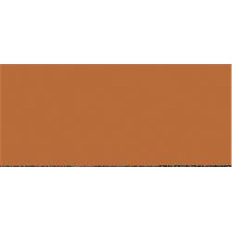 Model Color - Orange Brown