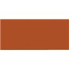 Model Color - Metallic Copper 