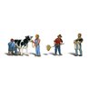 Dairy Farmers