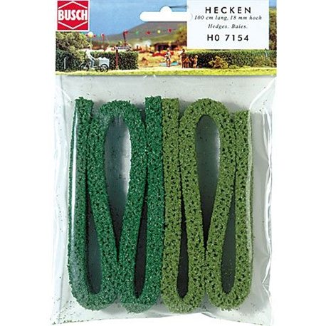 Large Hedge