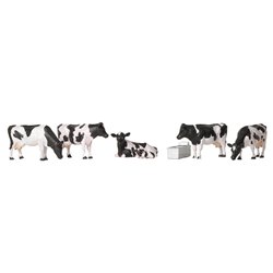 Cows