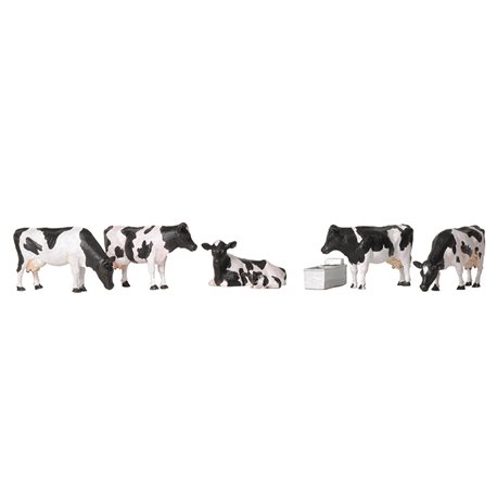Cows