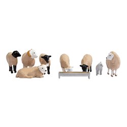 Sheep
