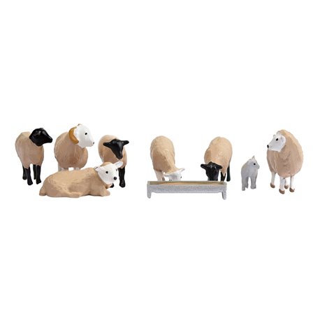 Sheep