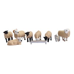 Sheep