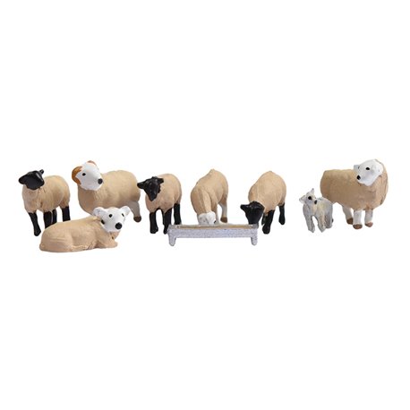 Sheep