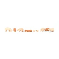 Pigs