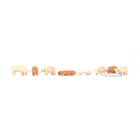 Pigs