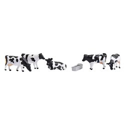 Cows