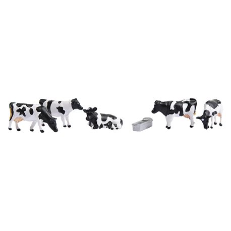 Cows