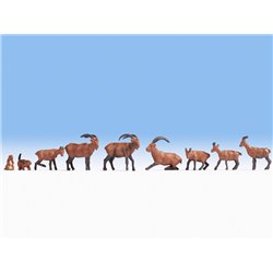 Alpine Animals (9)