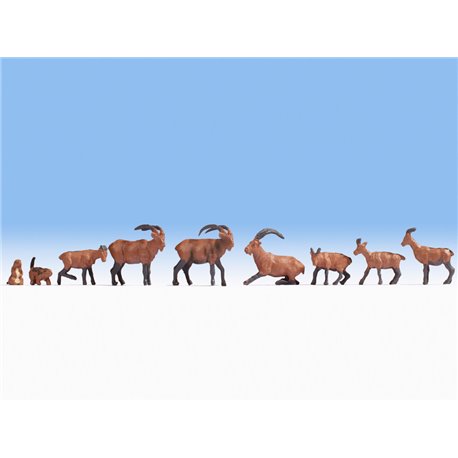 Alpine Animals (9)