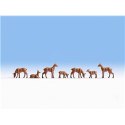Roe Deer (7)