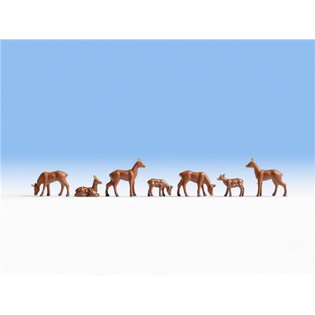 Roe Deer (7)