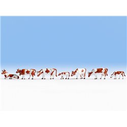 Cows - Brown & White (7)