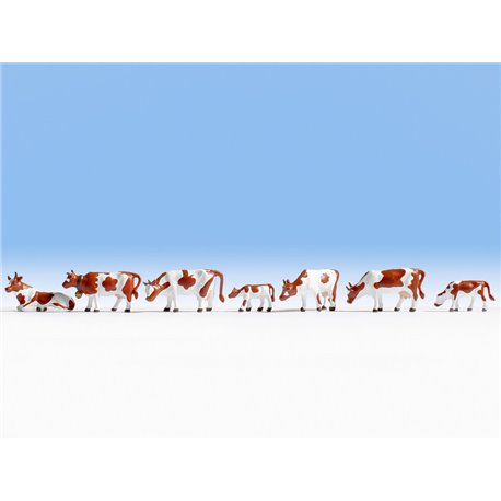 Cows - Brown & White (7)