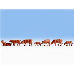 Cows - Brown (7)