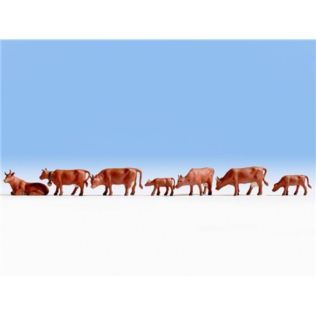 Cows - Brown (7)