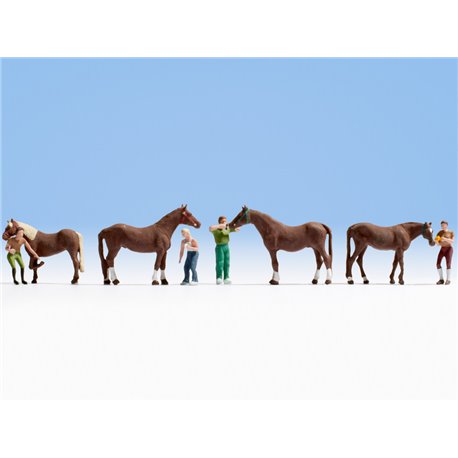 Horse Grooming (4)