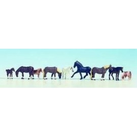 horses