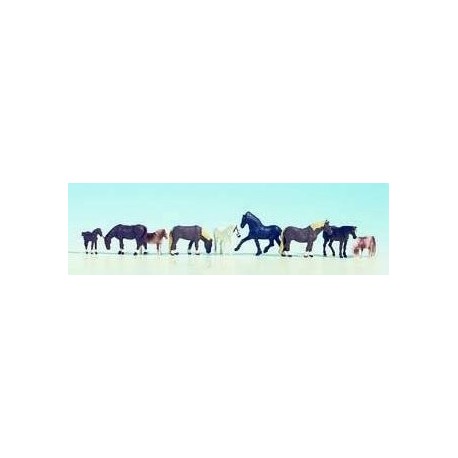 horses