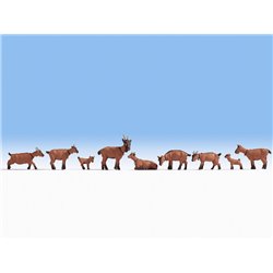 Goats (9)