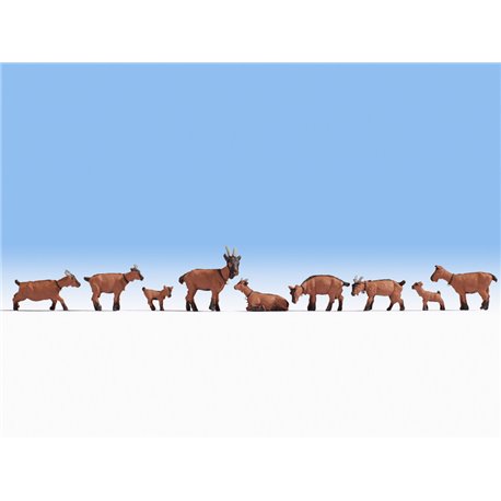 Goats (9)