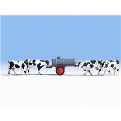 Cows at Water Trough Scene