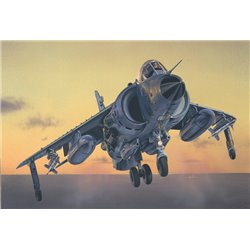 Sea Harrier FRS.1 - scale 1 : 72