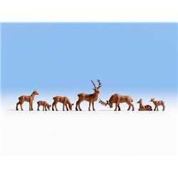 Deer (7)