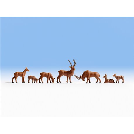 Deer (7)